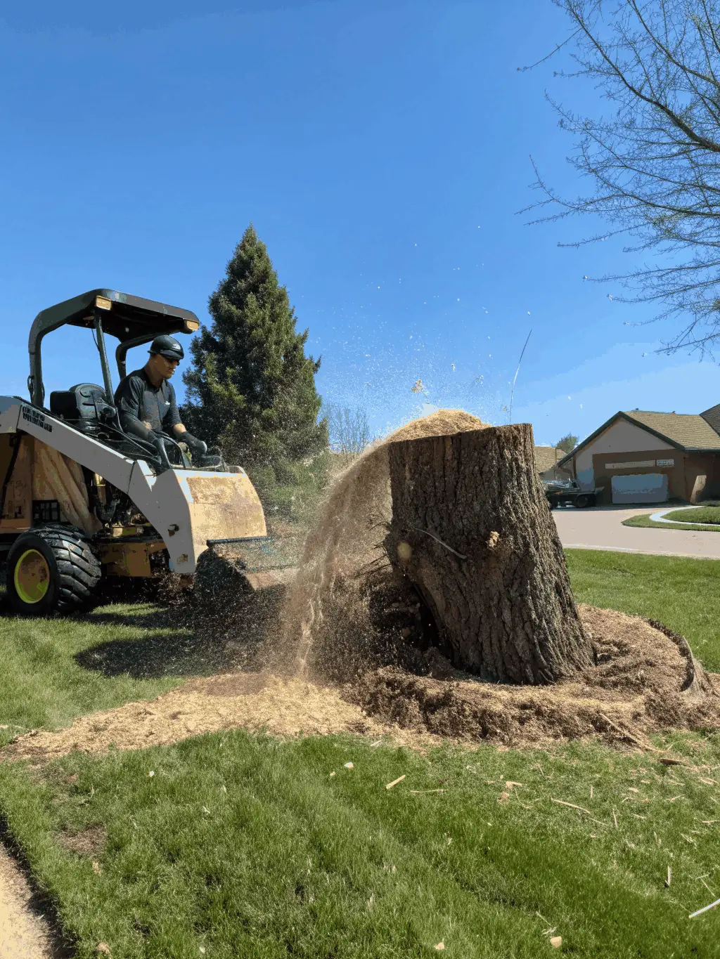 Image of a before-and-after shot showing a yard with multiple stumps before grinding and the same yard after 801 Stump Grinding has completed the stump grinding service, leaving a clean and level surface.